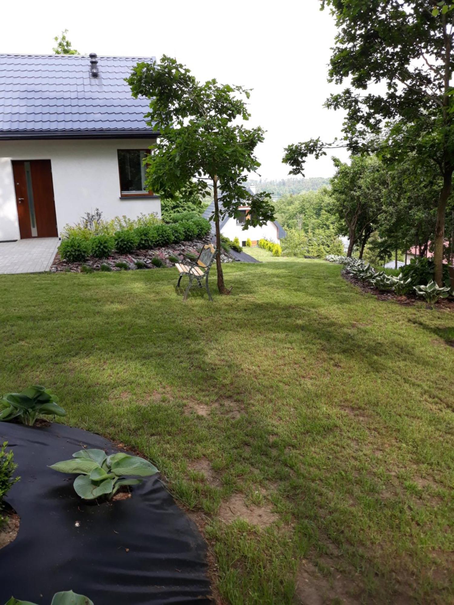 Lesny Zakatek- Lipa Parchowo